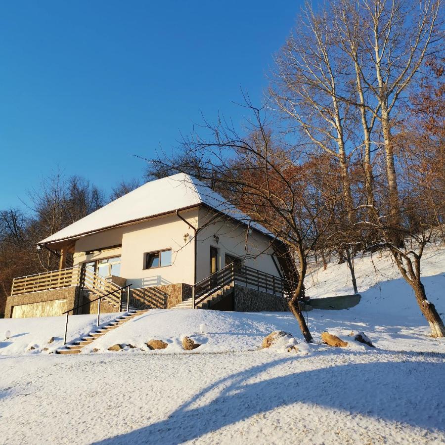 Provence Suceava 호텔 외부 사진