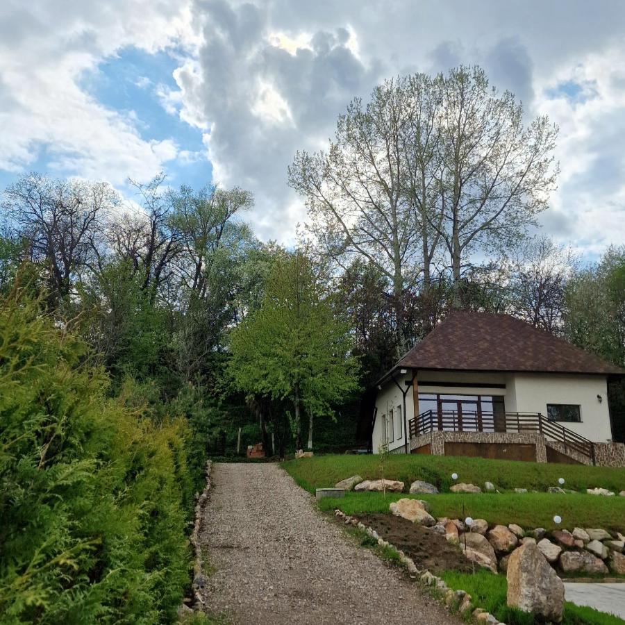 Provence Suceava 호텔 외부 사진