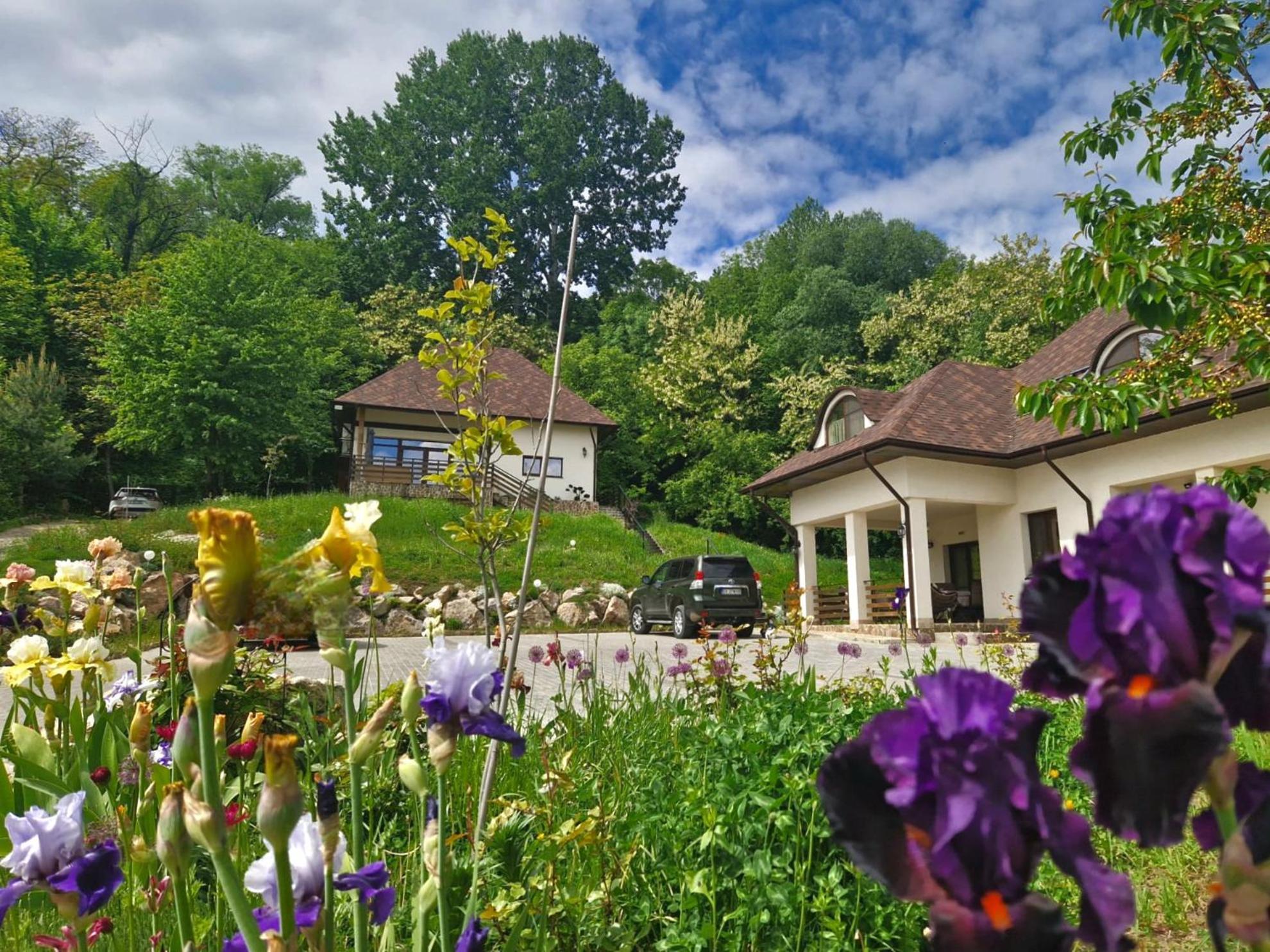 Provence Suceava 호텔 외부 사진