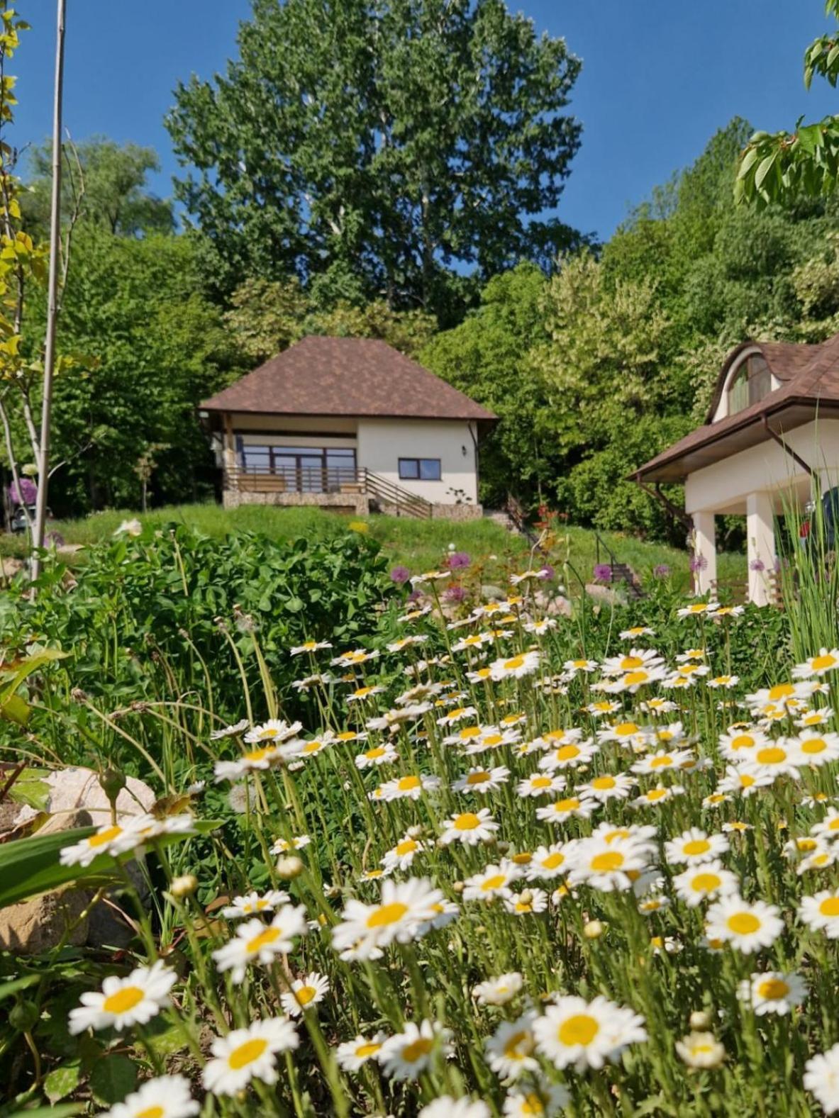 Provence Suceava 호텔 외부 사진