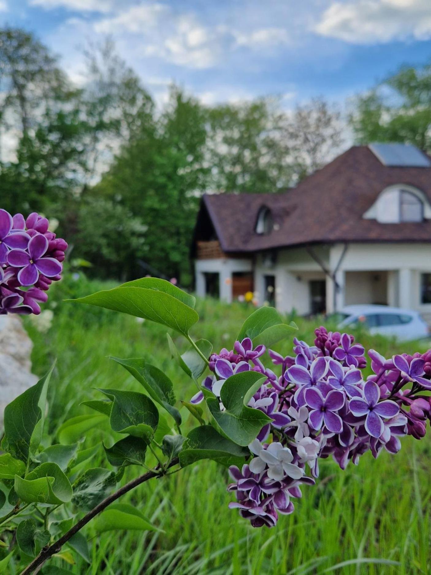 Provence Suceava 호텔 외부 사진