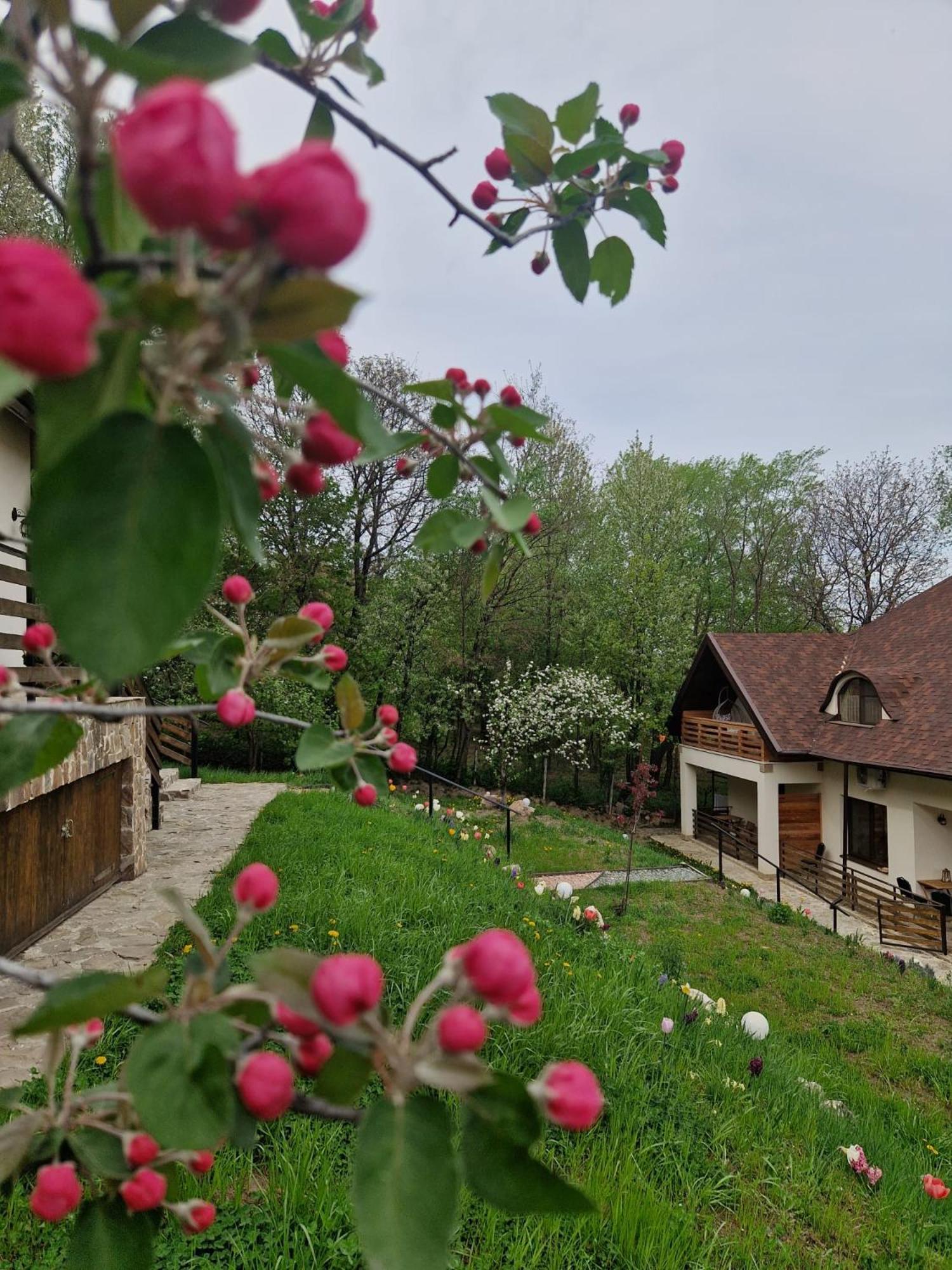 Provence Suceava 호텔 외부 사진